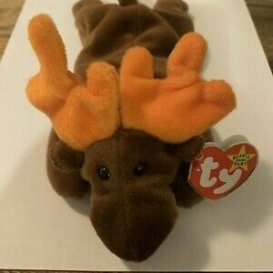 Ty Beanie Baby Chocolate with tag errors
